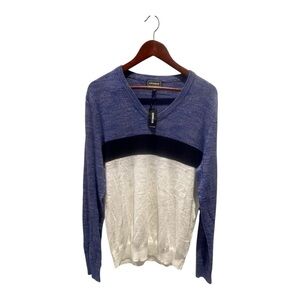 Express Blue and White V-Neck Sweater Size L